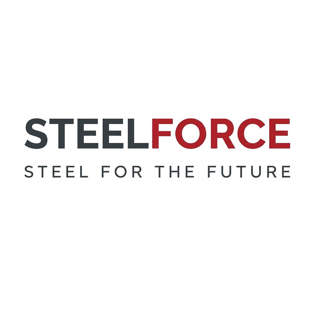 STEEL FORCE